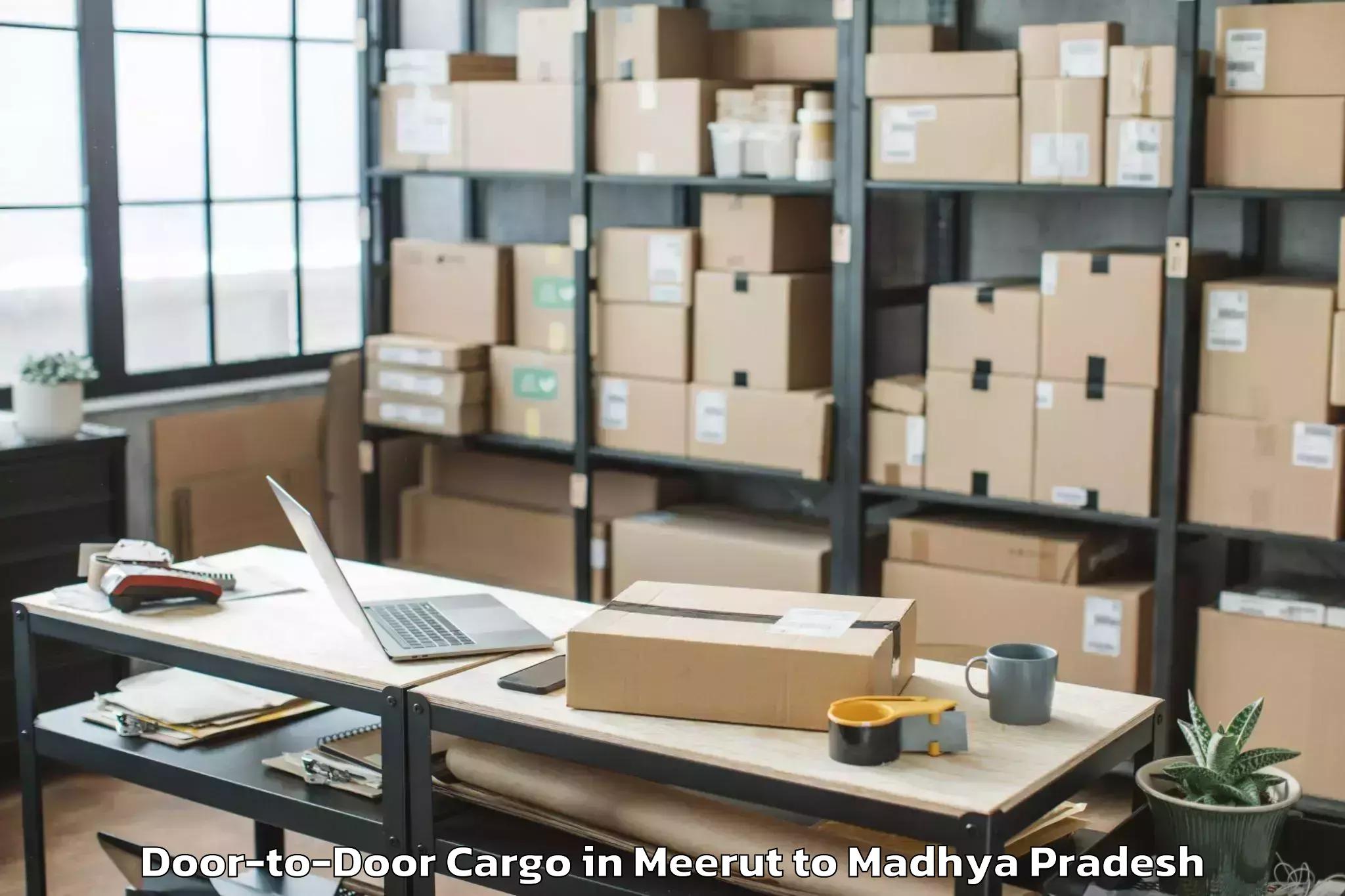 Top Meerut to Abhilashi University Rewa Door To Door Cargo Available